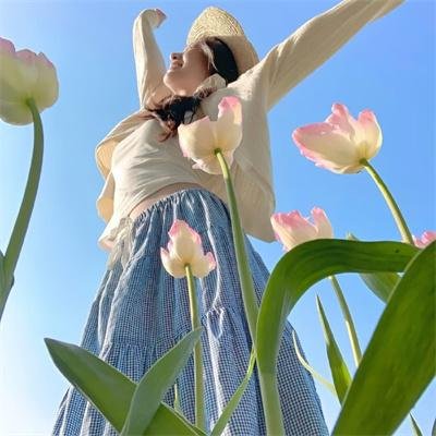 江户盗贼团五叶